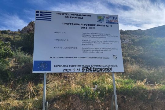 anadasosi espa